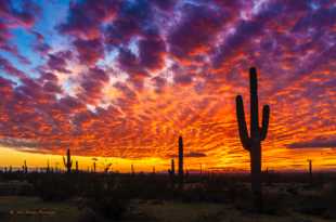 Sunset near Picacho Peak-6242.jpg